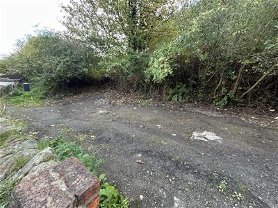 Picture 10